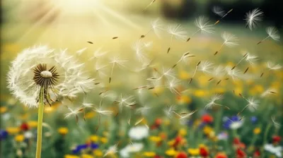 Illustration spend - Image 1