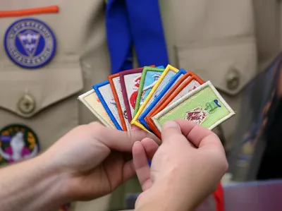 Illustration palms - Image 1