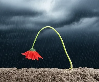 Illustration breaking points - Image 1