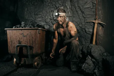 Illustration colliers - Image 1