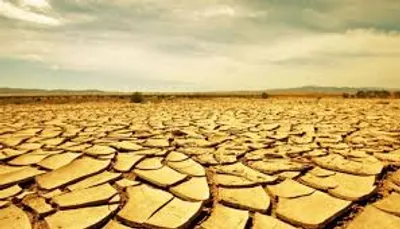 Illustration parched - Image 2