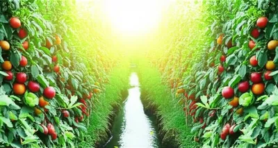 Illustration prospering