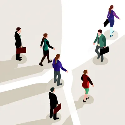 Illustration laid - Image 1