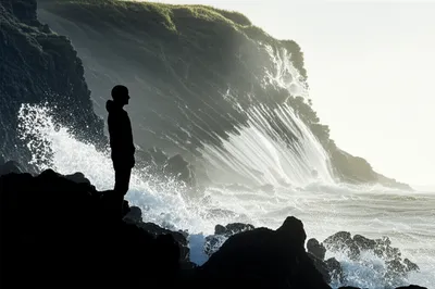 Illustration gallant - Image 1