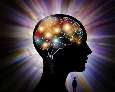 Illustration cognize - Image 1