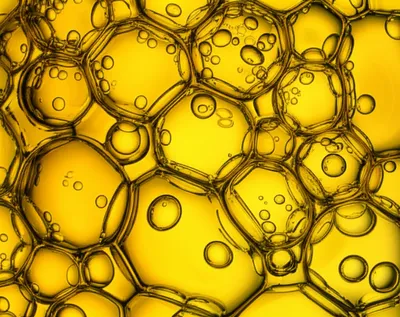 Illustration foam - Image 1