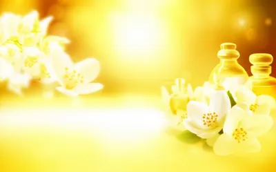 Illustration jasmine - Image 1