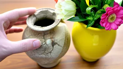 Illustration replaces - Image 1