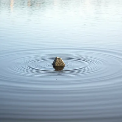 Illustration disturbances - Image 1