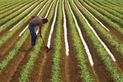 Illustration gutter - Image 3