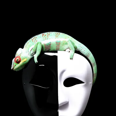 Illustration appearances - Image 1