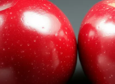 Illustration discern - Image 1