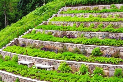 Illustration offsets - Image 1