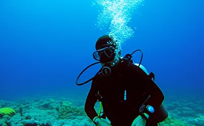 Illustration deco - Image 1