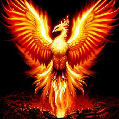 Illustration blaze - Image 1