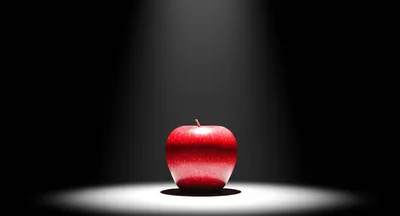 Illustration displays - Image 1