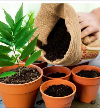 Illustration backfills - Image 1