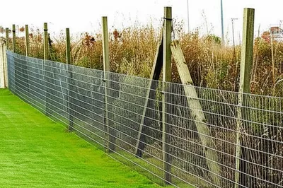 Illustration derelict - Image 1