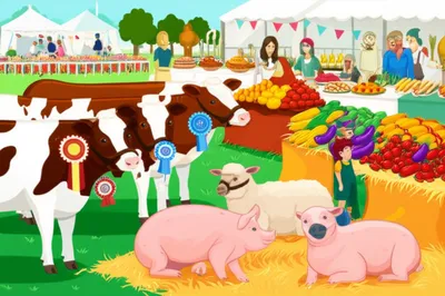 Illustration shew - Image 1