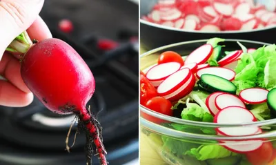 Illustration radishes - Image 1