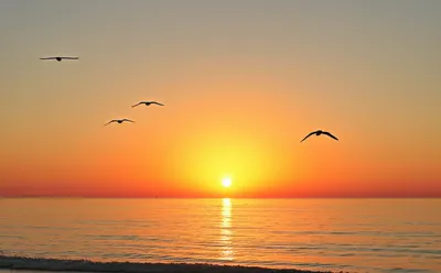 Illustration dawns - Image 1