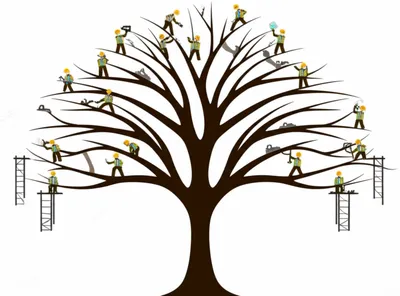 Illustration trunks - Image 1