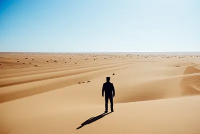 Illustration trackless - Image 1