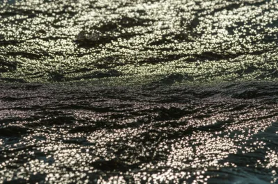 Illustration bicker - Image 1