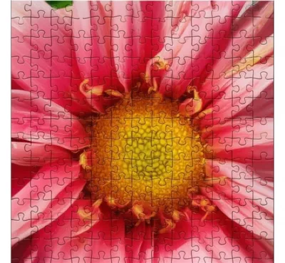 Illustration meld - Image 1