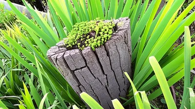 Illustration reparation - Image 1