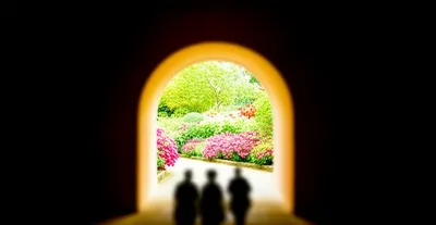 Illustration doors - Image 1