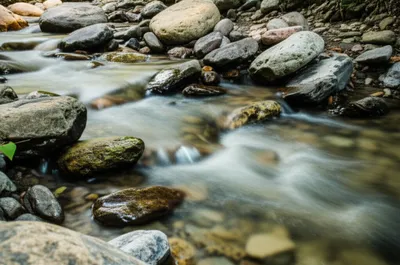 Illustration babbled - Image 1