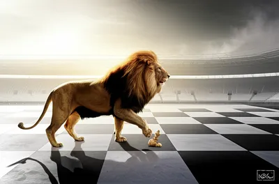 Illustration whoop - Image 1