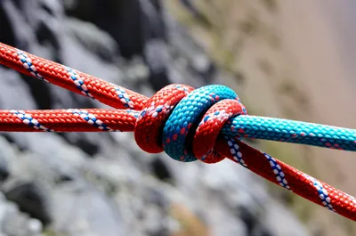 Illustration hitching - Image 1