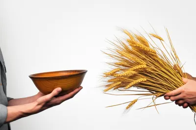 Illustration exchange - Image 1