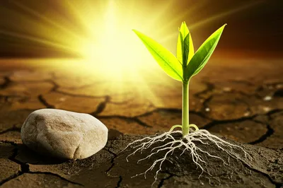 Illustration vitality - Image 1