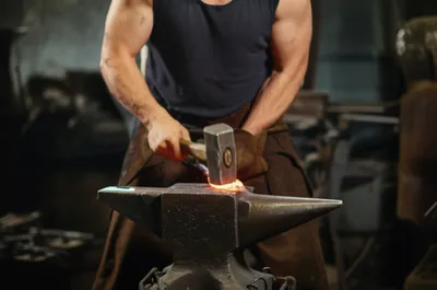 Illustration fortis - Image 1