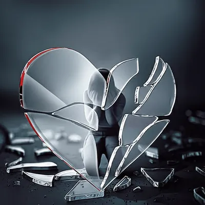 Illustration gutted - Image 1