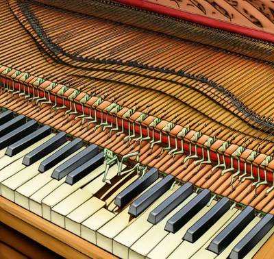 Illustration grasshoppers - Image 1