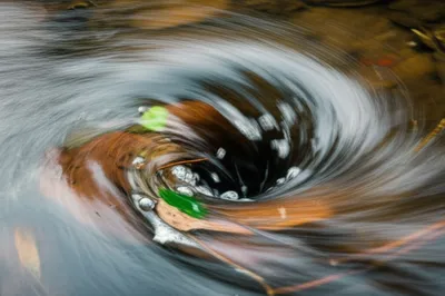 Illustration eddy - Image 1