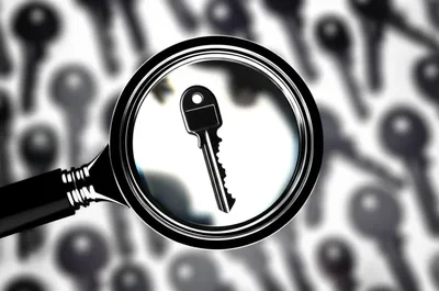 Illustration finds - Image 1