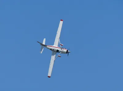 Illustration spins - Image 1