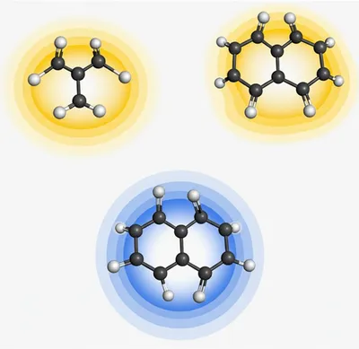 Illustration conformer