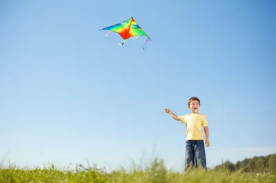 Illustration uv - Image 1