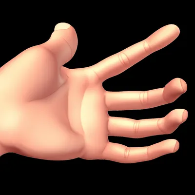 Illustration palm - Image 1