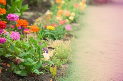 Illustration gray - Image 1