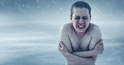 Illustration grills - Image 1