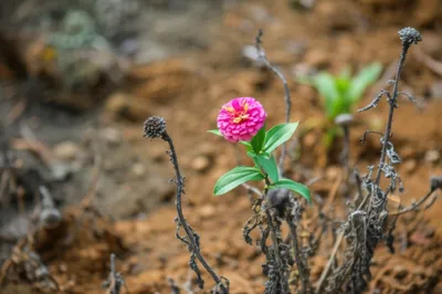 Illustration redact - Image 1