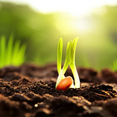 Illustration activating - Image 2