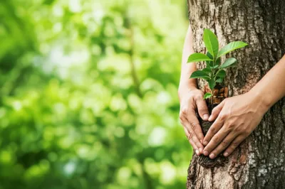 Illustration imping - Image 1